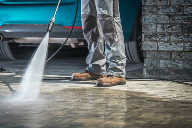 Best Winterizing Services  in Assumption, IL