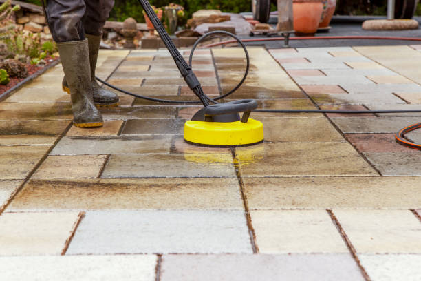 Best Spring Cleaning  in Assumption, IL